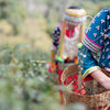 Cultural Significance of Handwoven Textiles in Contemporary Indian Celebrations