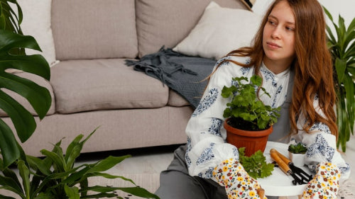 Sustainable Home Decor: Eco-Friendly Trends for 2025