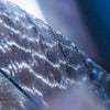 Bio-Fermented Silk Fibers Emerge as a Disruption in Textiles
