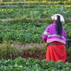 Artisan Cooperatives Empower Rural Women Across India