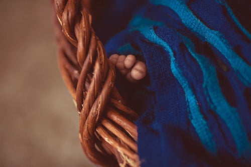 Diverse Regional Weaves Showcase India's Craft Legacy