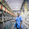 Master Weaver Recognition Programs and Their Impact