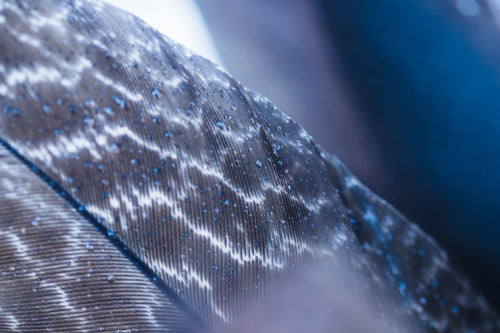 Bio-Fermented Silk Fibers Emerge as a Disruption in Textiles