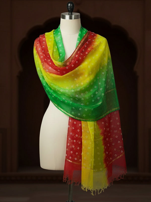 Dye & Drape Pure Silk Kota Flowy Multicolor Dupatta