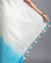 Surreal Pure Linen Saree Hand Embroidered White & Blue