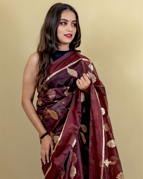 Indiehaat | Banarasi Brocade Organza Silk Saree Brown