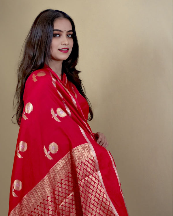 Indiehaat | Banarasi Brocade Raw Mango Silk Saree Red