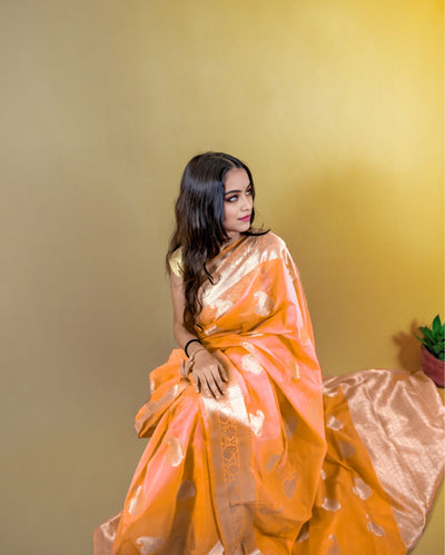 Indiehaat | Zari Banarasi Tissue Semi Silk Saree Orange