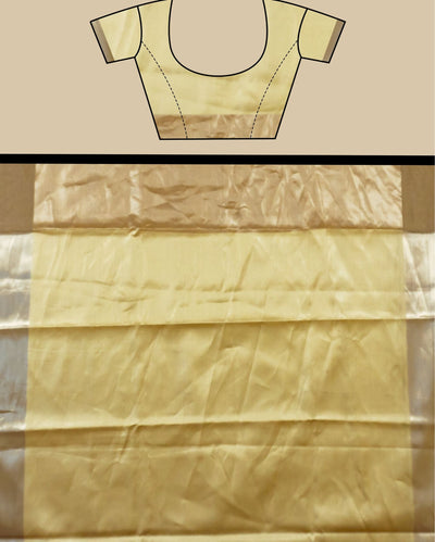 Indiehaat | Zari Banarasi Tissue Semi Silk Saree Gold