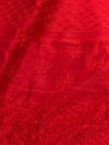 Indiehaat | Chikankari Pure Chanderi Silk Saree Red