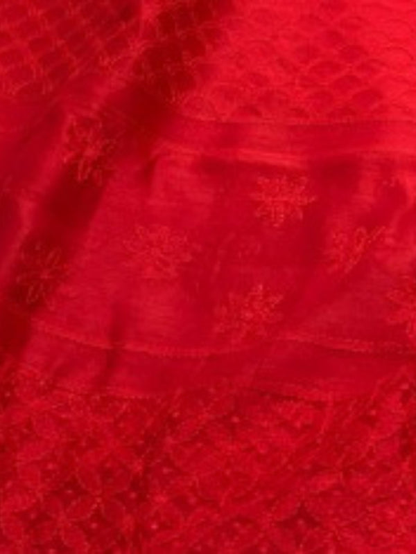 Indiehaat | Chikankari Pure Chanderi Silk Saree Red