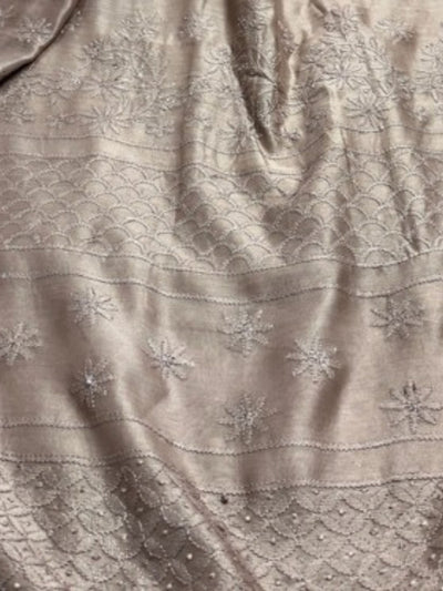 Indiehaat | Chikankari Pure Chanderi Silk Saree Beige