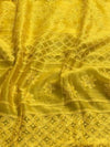 Indiehaat | Chikankari Pure Chanderi Silk Saree Yellow