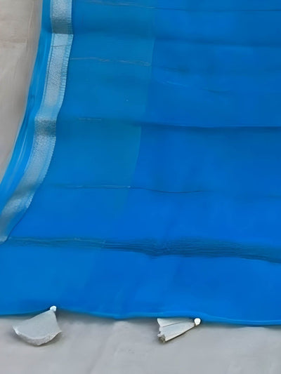 Indiehaat | Pure Chandei Silk Applique Saree Blue