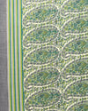 Indiehaat | Kashmiri Silk Printed Saree White & Green