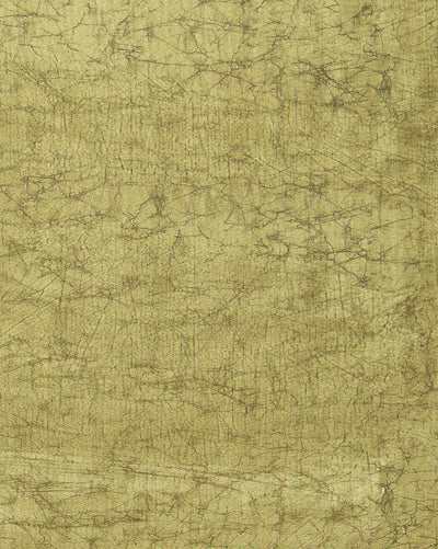 Indiehaat | Kashmiri Silk Printed Saree Olive Green & Dar