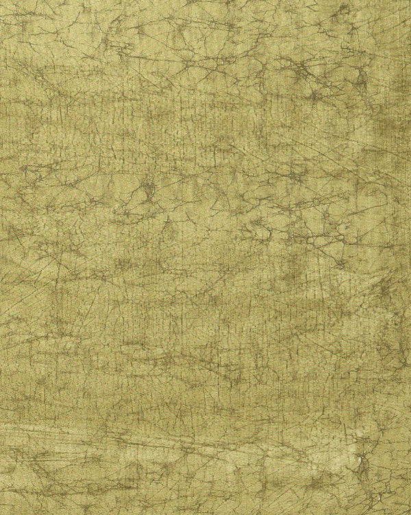 Indiehaat | Kashmiri Silk Printed Saree Olive Green & Dar