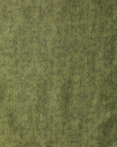 Indiehaat | Kashmiri Silk Printed Saree White & Green