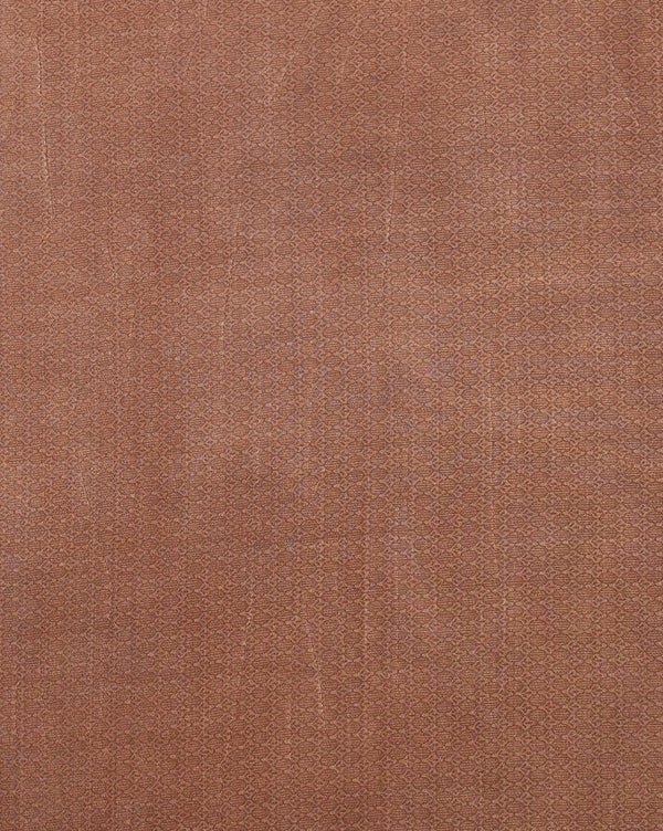 Indiehaat | Kashmiri Silk Printed Saree Brown & Dark Brown