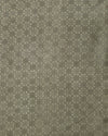 Indiehaat | Kashmiri Silk Printed Saree Sage Green & Ligh