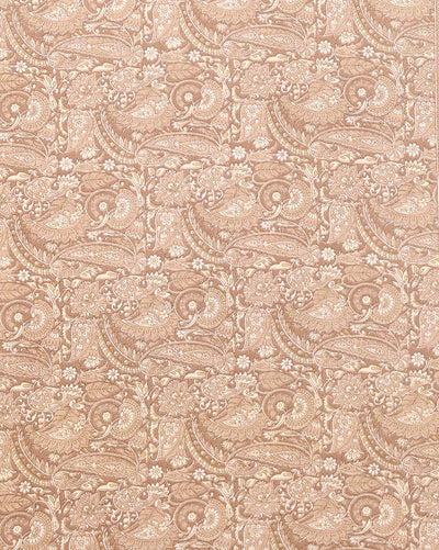 Indiehaat | Kashmiri Silk Printed Saree Light Brown & Beige