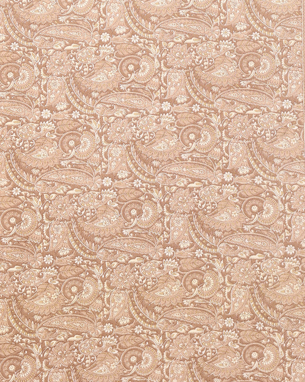 Indiehaat | Kashmiri Silk Printed Saree Light Brown & Beige