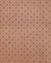 Indiehaat | Kashmiri Silk Printed Saree Tan & Brown
