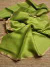 Indiehaat | Muslin Silk Jamdani Sequin Saree Green