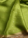 Indiehaat | Muslin Silk Jamdani Sequin Saree Green