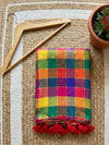 Indiehaat | Pure Handloom Mul Cotton Saree Multicolor