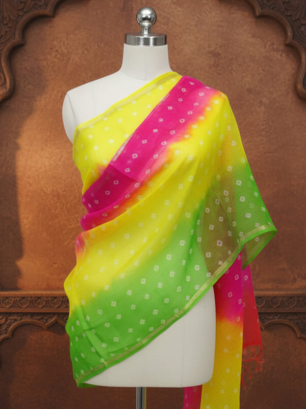 Dye & Drape Pure Silk Kota Ethereal Multicolor Dupatta