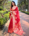 Indiehaat | Organza Floral Rainbow Zari Woven Red Saree