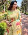 Indiehaat | Organza Multicolor Zari Woven Green Saree