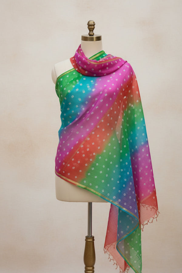 Dye & Drape Pure Silk Kota Timeless Multicolor Dupatta