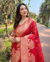 Indiehaat | Organza Floral Rainbow Zari Woven Red Saree