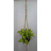 Scooby Plant HangerSize: 40" Long Material : Cottan Colour : Natural White-Indiehaat