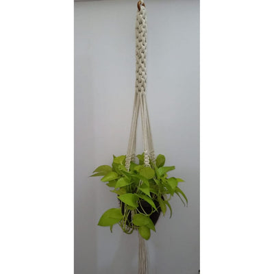 Scooby Plant HangerSize: 40" Long Material : Cottan Colour : Natural White-Indiehaat