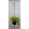 Scooby Plant HangerSize: 40" Long Material : Cottan Colour : Natural White-Indiehaat