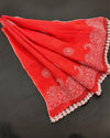 Indiehaat | Kota Doria Dupatta Red Color with Chikankari and Crochet Work