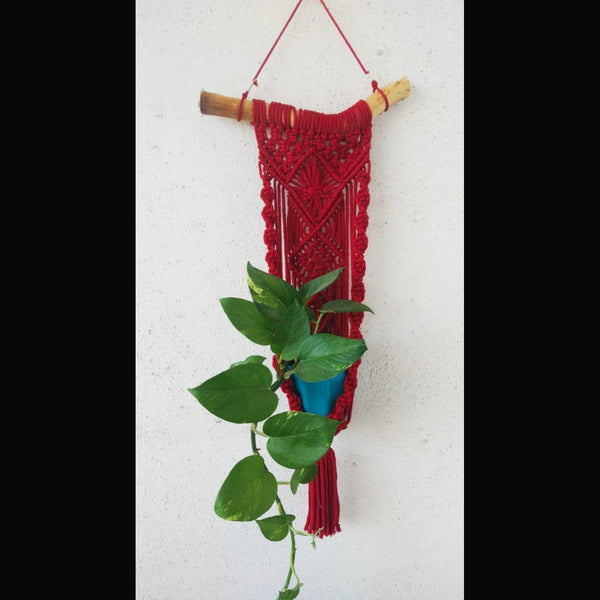 Red Macrame Wall Hanging Maroon Pot Holder With Poly Cotton Thread-Indiehaat